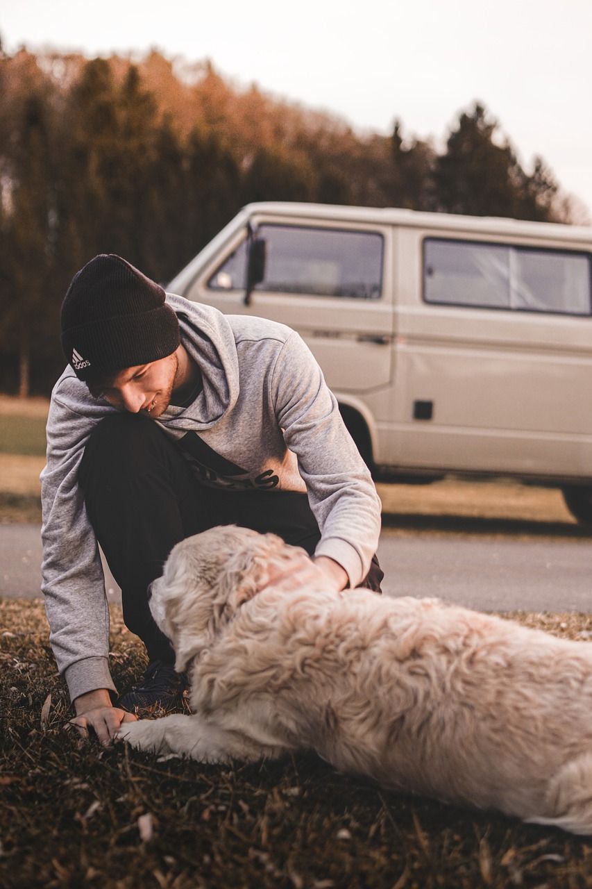 7 Ways to Prevent Lost Pets