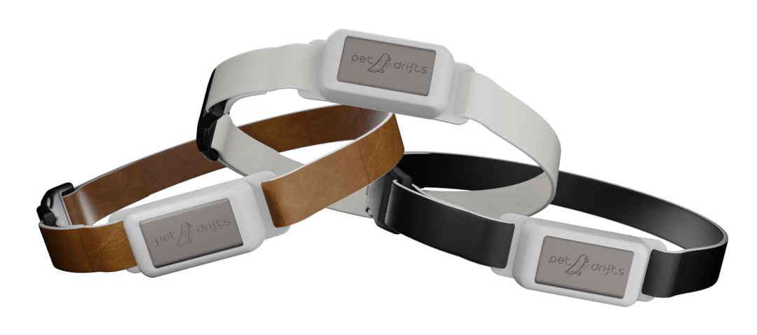 Top 5 Smart Dog Collars in Canada